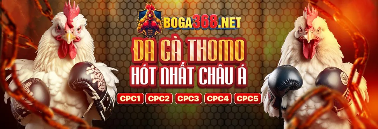 Đá Gà Trực Tuyến win555 99k: Nền Tảng Giải Trí Hàng Đầu 2026